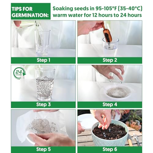  1,500+ Heirloom Tomato Seeds for Indoor and Outdoor Planting | 10 Salad Varieties Garden Hydroponic Kit
| Non-GMO Heirl