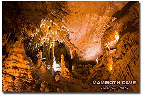  Mammoth Cave National Park Travel Landscape Refrigerator Magnet - Perfectly Sized |5" x |5" for Your Fridge
| Mammoth C